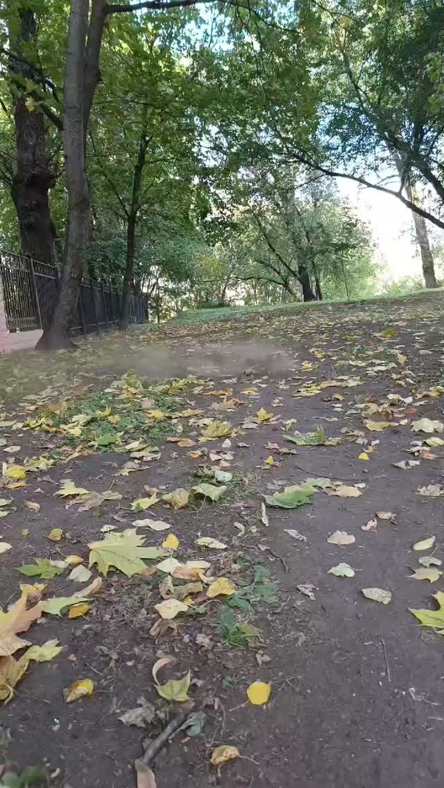 Покатушки на багги