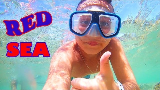 Дайвинг Египет КАНИКУЛЫ ШАРМ Эль Шейх Red Sea Видеосъемка КРАСОТЫ подводного МИРА