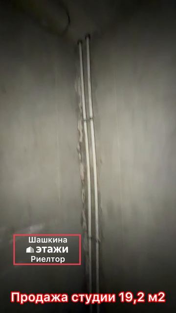 Продажа студим в поселке Дубовое