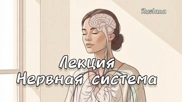 Нервная Система. Лекция про нервную систему.