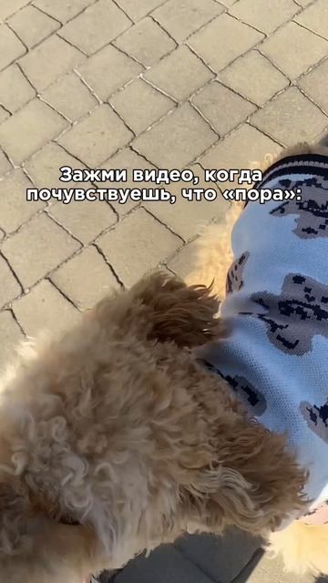 😳 ЗАЖМИ ВИДЕО, КОГДА ПОЧУВСТВУЕШЬ, ЧТО ПОРА…