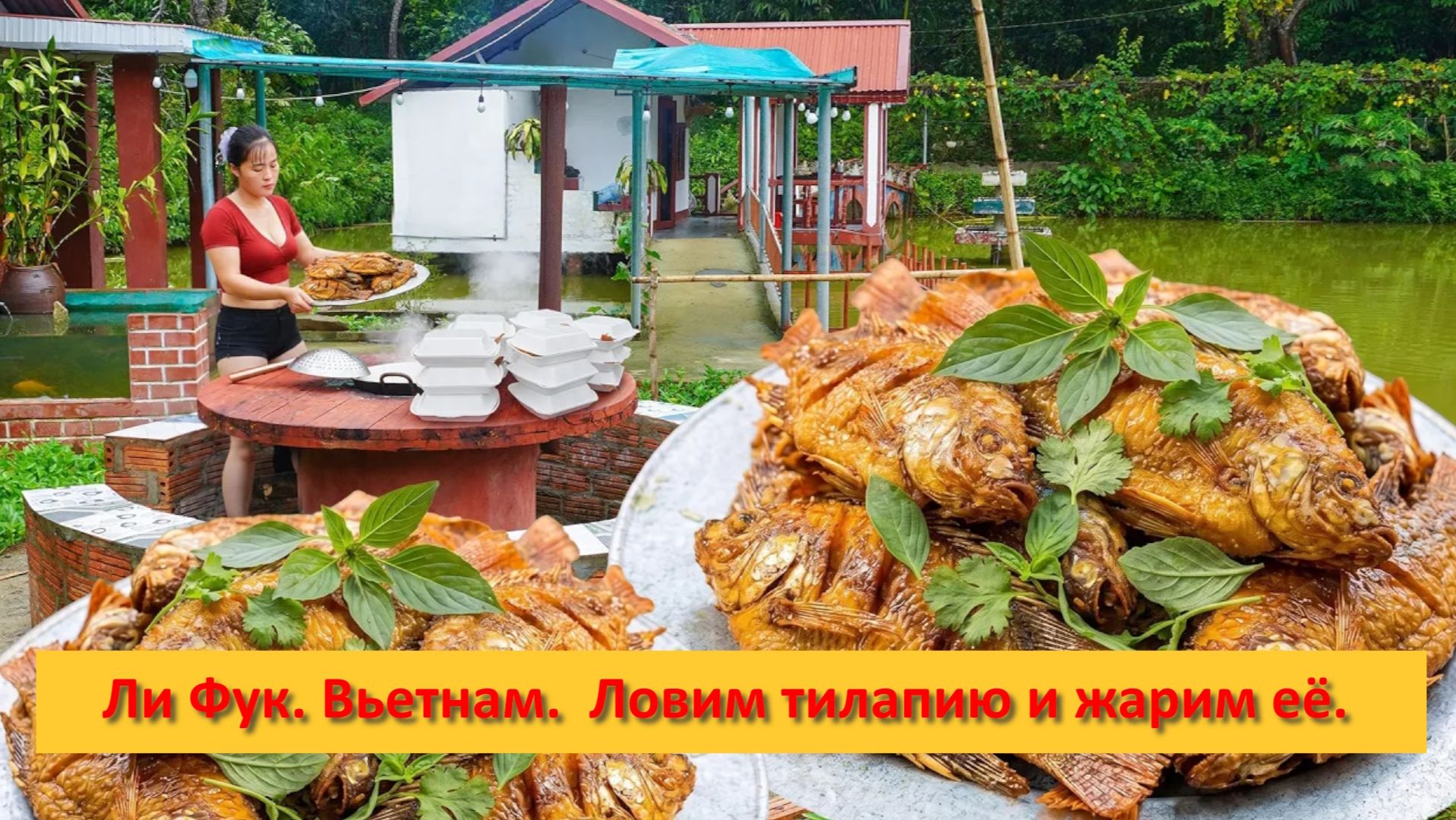 Ли Фук. Вьетнам. День на ферме. Ловим тилапию и жарим её целиком на продажу жителям деревни.
