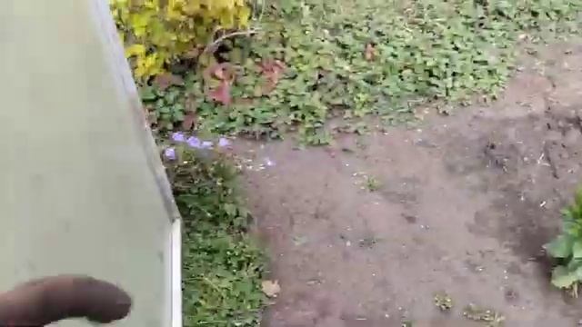 МОЯ ПРОСТАЯ🫠ЖИЗНЬ/ВЫКОПАЛА СВЁКЛУ,  КОПАЮ🥔КАРТОШКУ/ДОЖДЬ ☔ НЕ ПОМЕХА