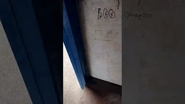 19-09-2026 гуляем