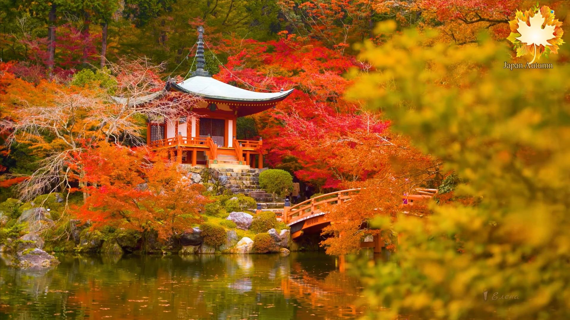 Japan Autumn  *