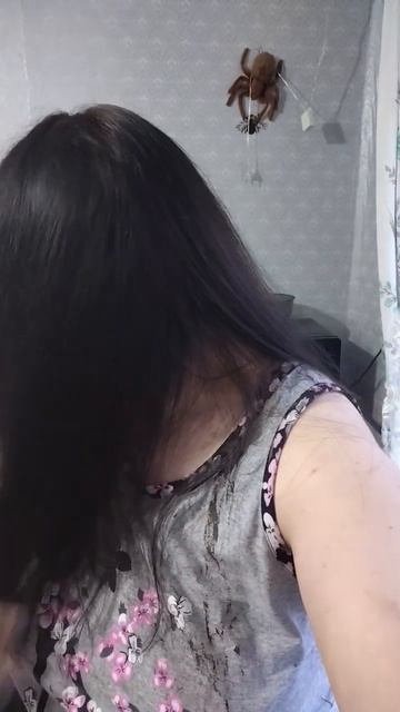 Из 1.1 в 6.0 😊