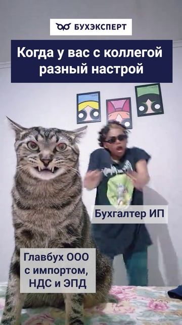 Когда у вас с коллегой разных настрой