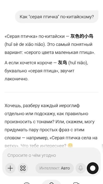 приколы со салисой