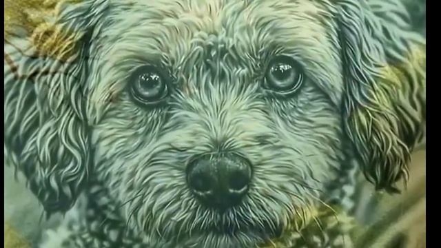 Моменты прозрения - Wladoka