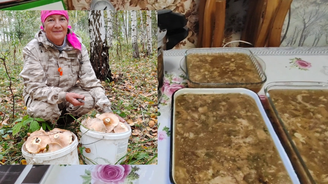 И снова в лес за грибами // мой Личный повар и холодец за 40 минут //