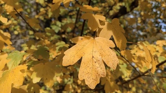 видеоклипы 2