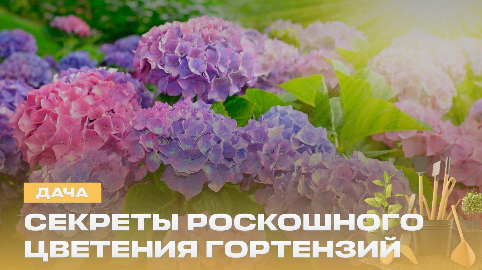 Дача