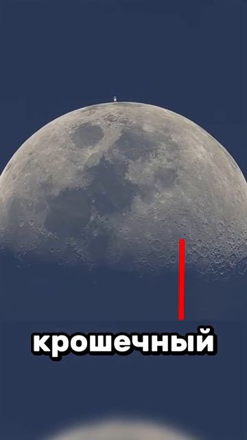 Эпштейн может спать спокойно
