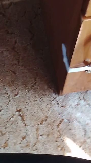 мой друг открывает крутое яйцо