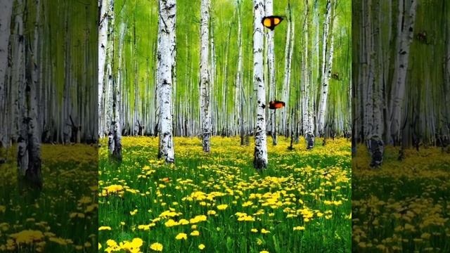 Счастье - стихи Ирины Расшиваловой & ИИ.