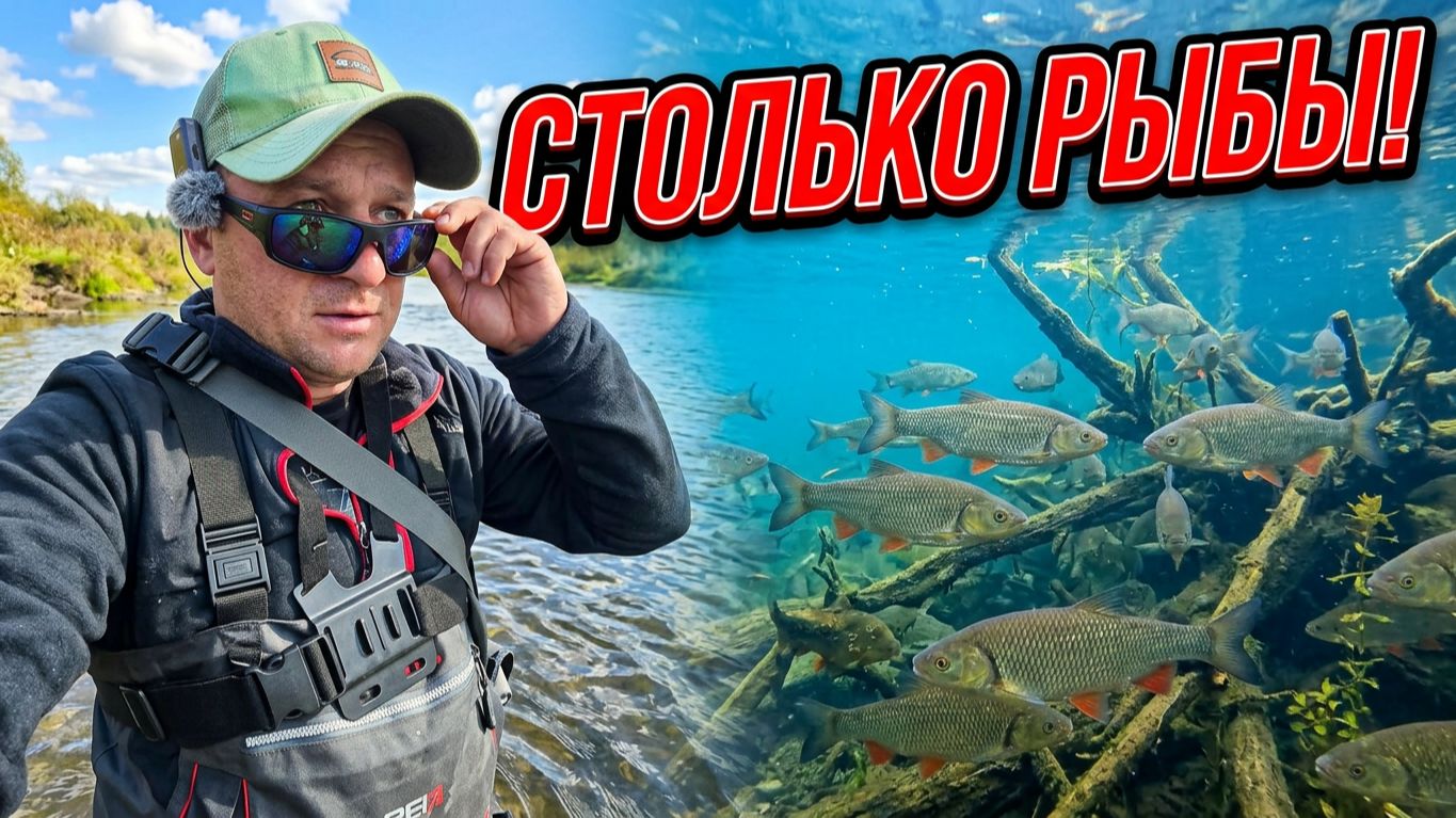 СТОЛЬКО РЫБЫ Я ЕЩЁ НЕ ВИДЕЛ!!! РЕКА С ТРОФЕЙНЫМИ ГОЛАВЛЯМИ ОТКРЫЛАСЬ ПО НОВОМУ!!!
