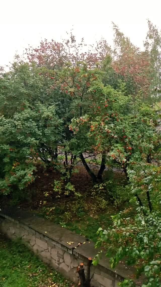 Осенний вайб