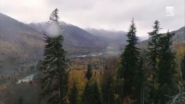 Путешествия