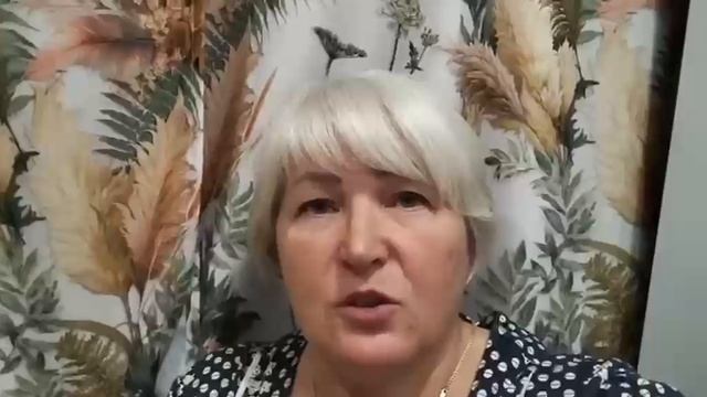 Мои курочки уехали в другое хозяйство