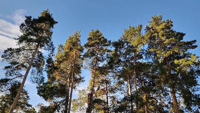 ПРИГЛАШАЮ НА СВОЙ КАНАЛ ДЗЕН⚡ 20-09-2026