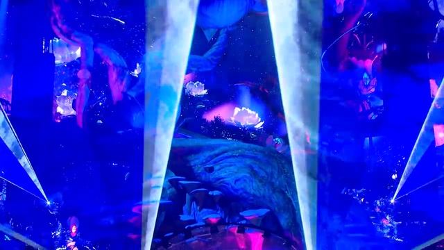 David Guetta Live @ Tomorrowland 2024