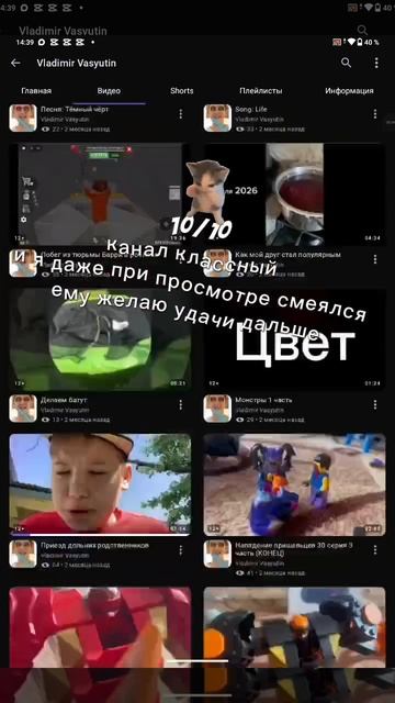 Оценивал канал зрителя