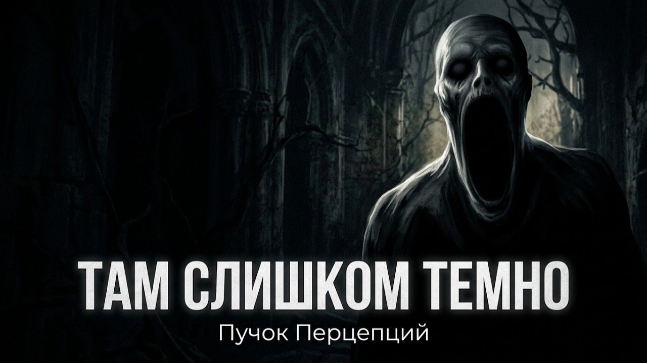 Пучок Перцепций — Там слишком темно 🎧 аудиокнига целиком, рассказ, ужасы, страшные истории
