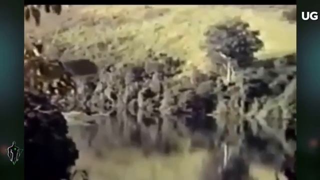 Real UFO Sightings 2026 The Most Convincing UFO Footage Caught On Camera