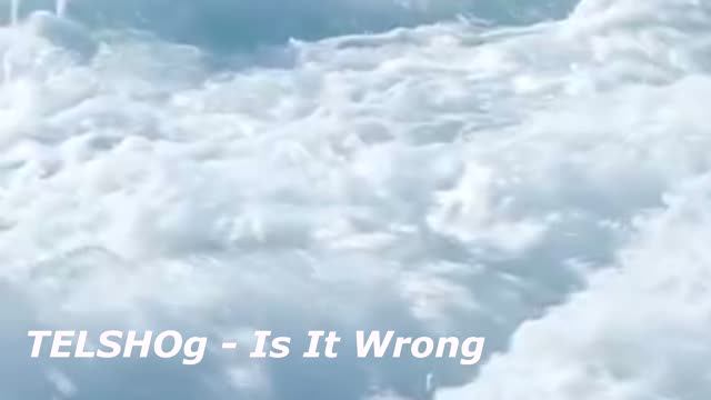 TELSHOg - Is It Wrong
