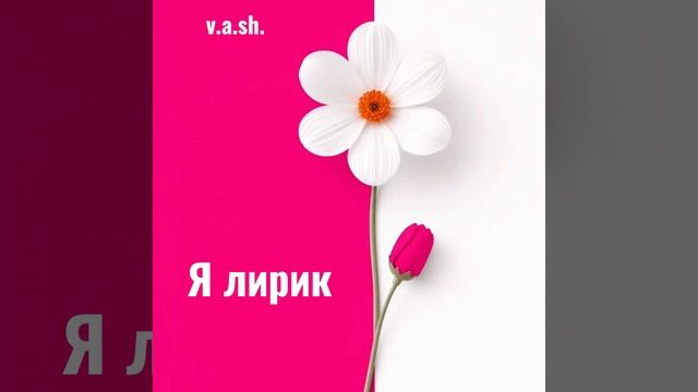 исполнитель V.a.sh.
