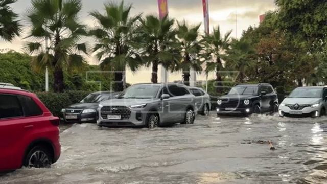 Она Сильно Захотела Секса