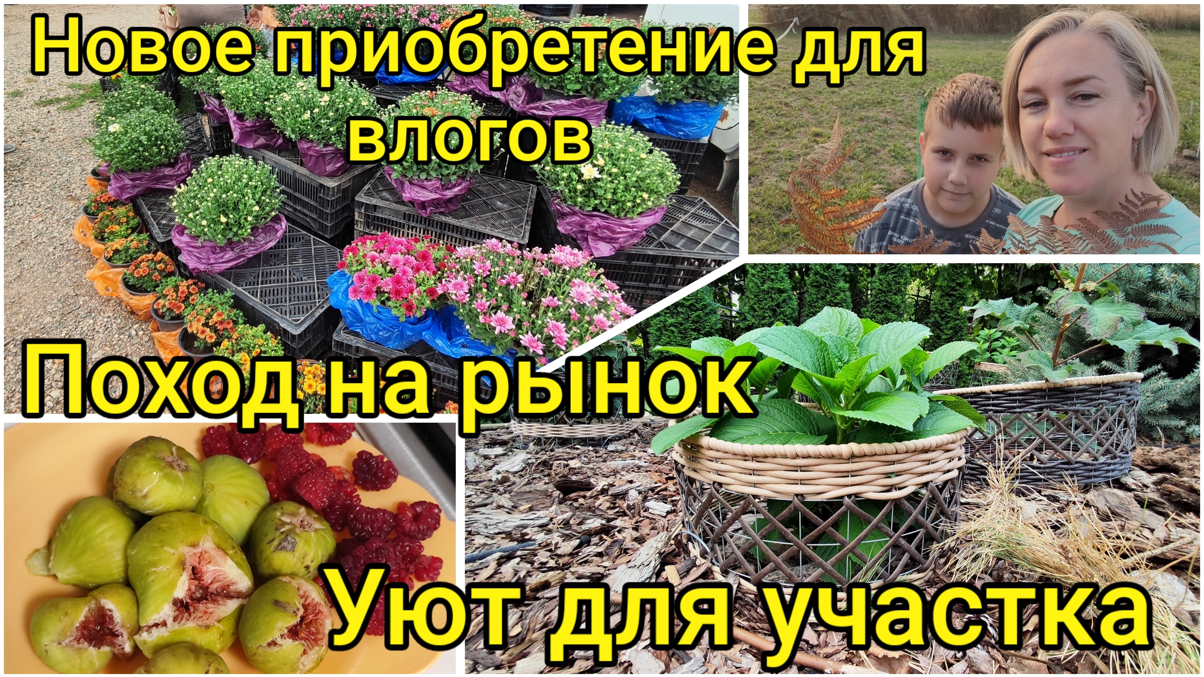 Переезд на ЮГ🌻 Новое приобретение для ВЛОГОВ🎥 Наш рынок 🍇 Уют для участка 🌿