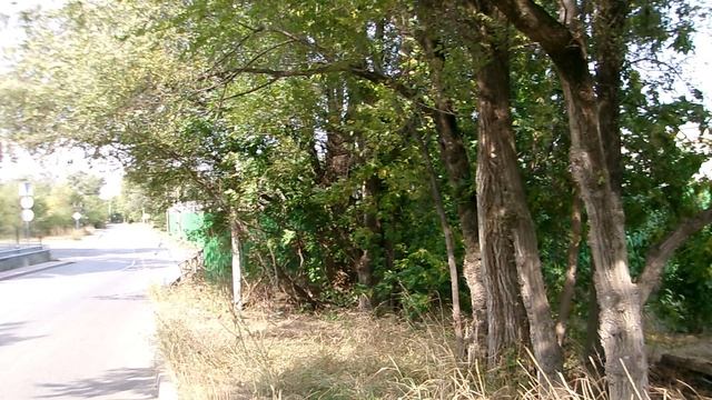 Г.Невинномысск ул.Менделеева -район Головное.Природа Невинномысска