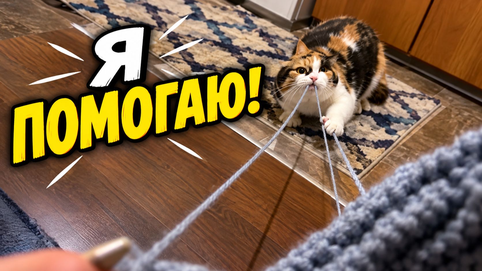 Прикольные Животные