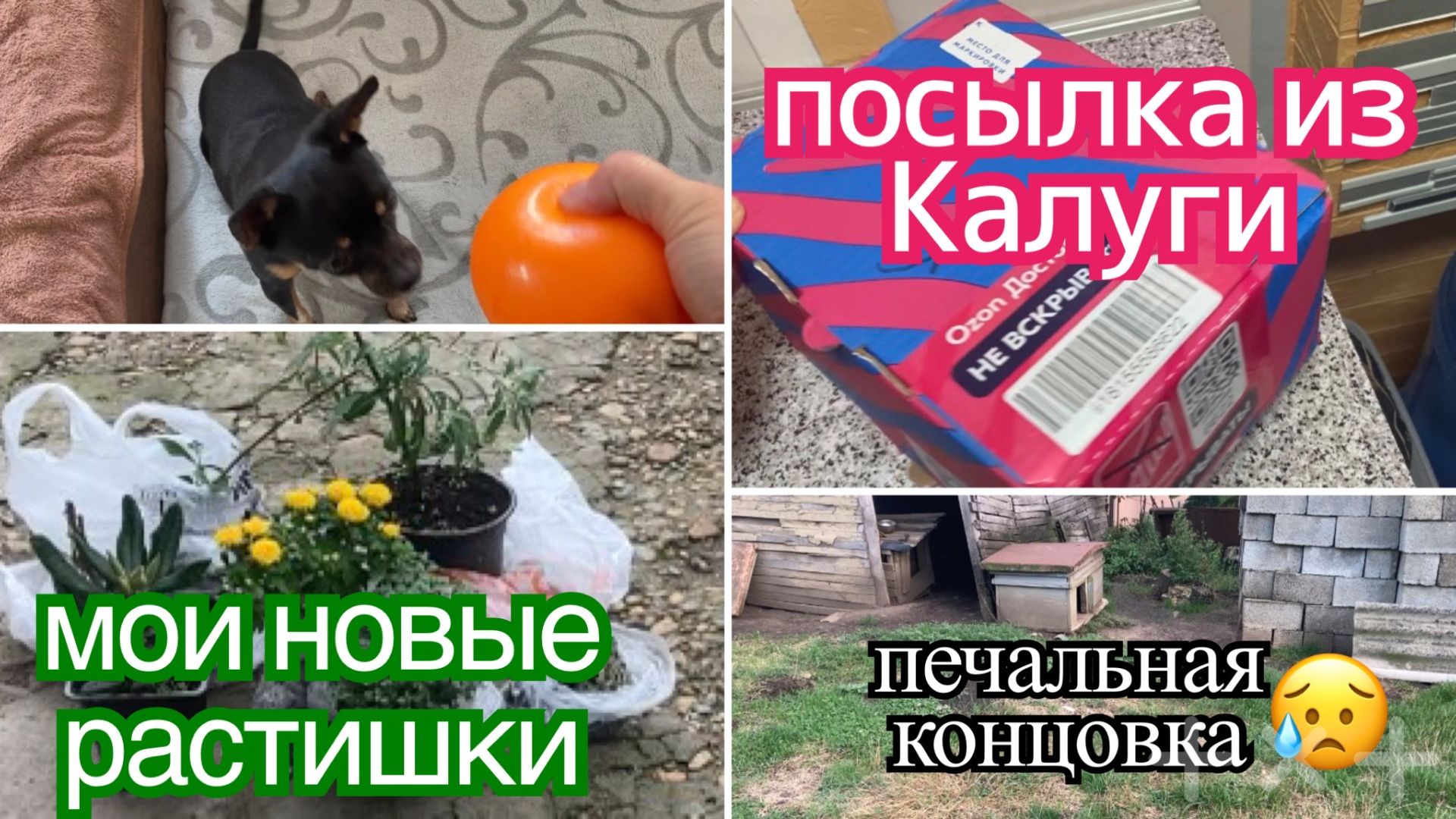 наши будни