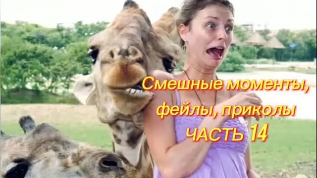 Самые смешные моменты, фейлы, приколы.