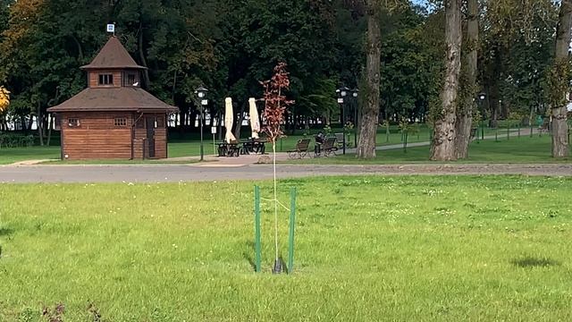 брест