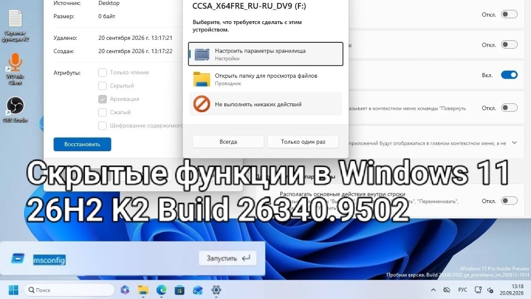 Windows 11