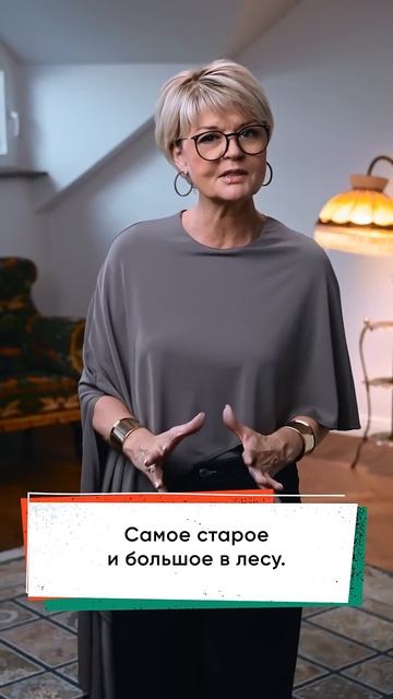 Секретный интернет деревьев