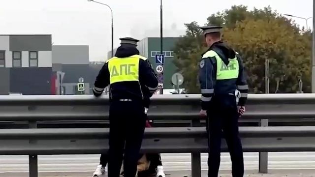 Душераздирающее видео из Москвы: раненого пёселя, застрявшего в отбойнике, спасли сотрудники ДПС и н