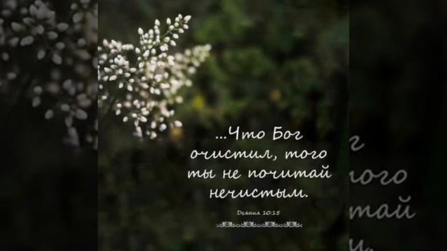 Что Бог очистил 17.09.2026