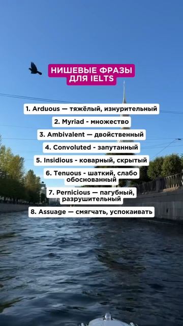 Нишевые фразы Ielts #ielts #ieltsрепетитор
