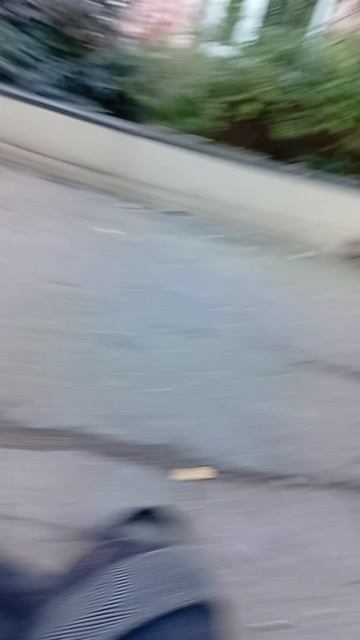 rutube.ru