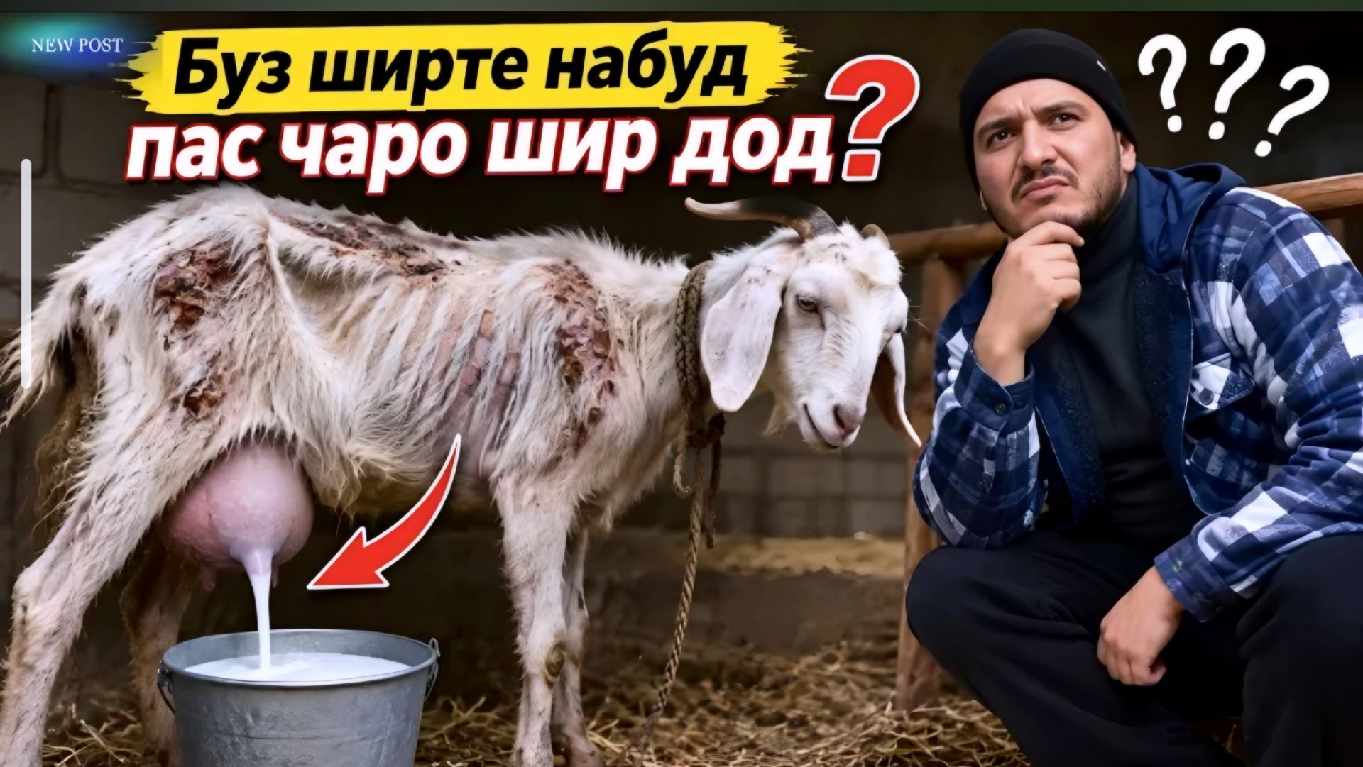 ДОМУЛЛО АКБАРЧОН АМРИ МАЪРУФ МАВЪИЗАҲОИ ИСЛОМӢ ҲАДИСУ ҚИССАҲО КАРД