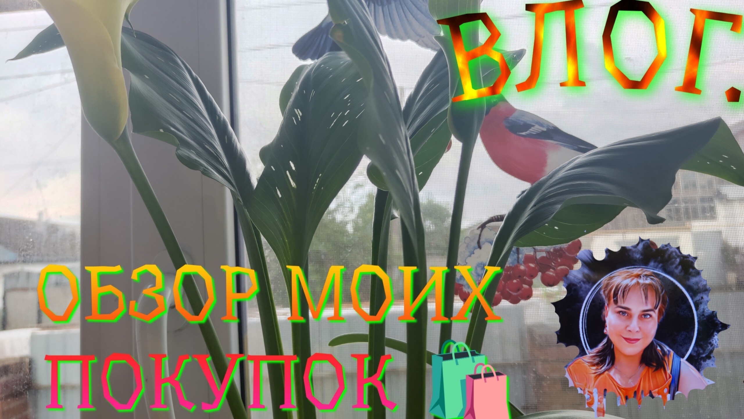 ОБЗОР ПОКУПОК 🛍️ С ВАЙЛДБЕРРИЗ #ОЗОН. СЛУЧИЛАСЬ ПЕЧАЛЬКА 🥺. И СНОВА МОИ ЦВЕТОЧКИ 💐 🤗
