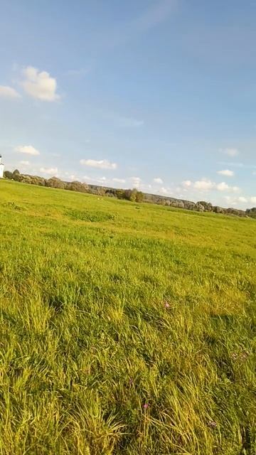 благостное пространство любви и счастья