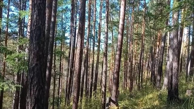 Вылазка по хабар.