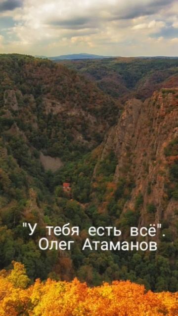 Клипы