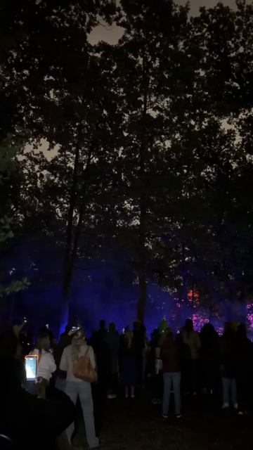 19-09-2026. Таллин. Эстония 🇪🇪 Парк Кадриорг.