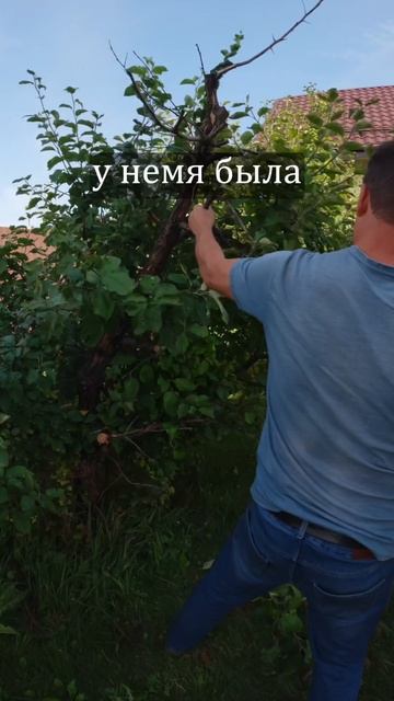 новый эксперимент